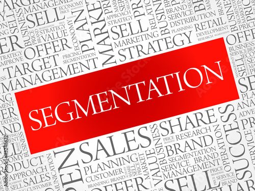 Segmentation word cloud, business concept