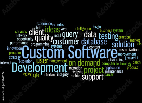 Custom Software Development  word cloud concept 6