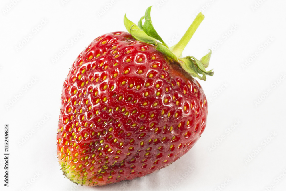 custom made wallpaper toronto digitalStrawberry