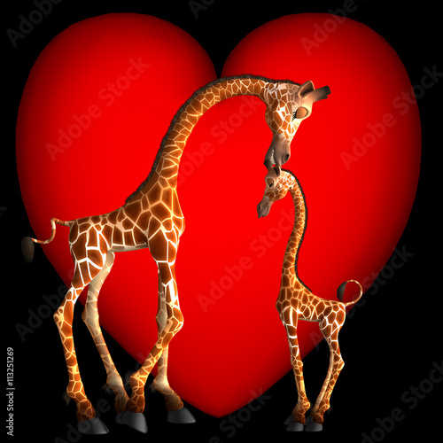 Giraffe parent and child in heart