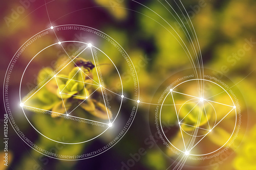 Sacred geometry. Mathematics, nature, and spirituality in nature. The formula of nature. There is no beginning and no end of the Universe, and no beginning and no end of the Life and the Bliss.