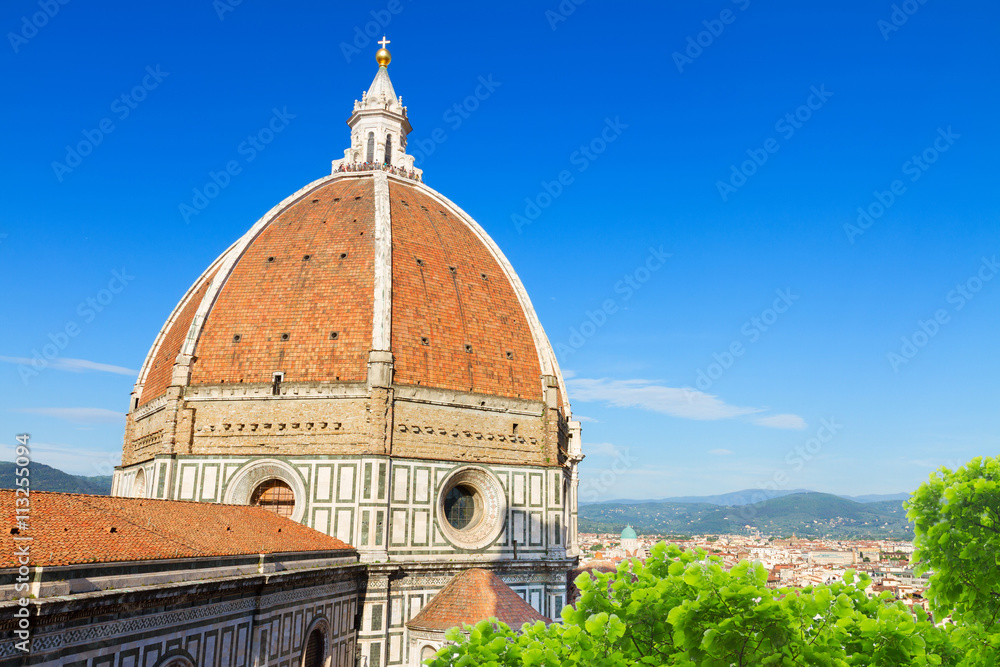 Fototapeta premium cathedral church Santa Maria del Fiore, Florence, Italy