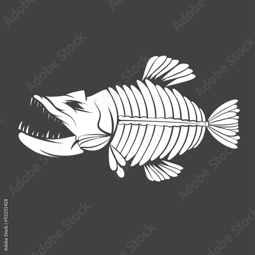 vector design template of aggressive tropical fish skeleton