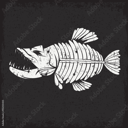 grunge vector design template of aggressive tropical fish skelet