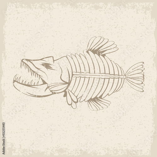 grunge vector design template of aggressive tropical fish skelet