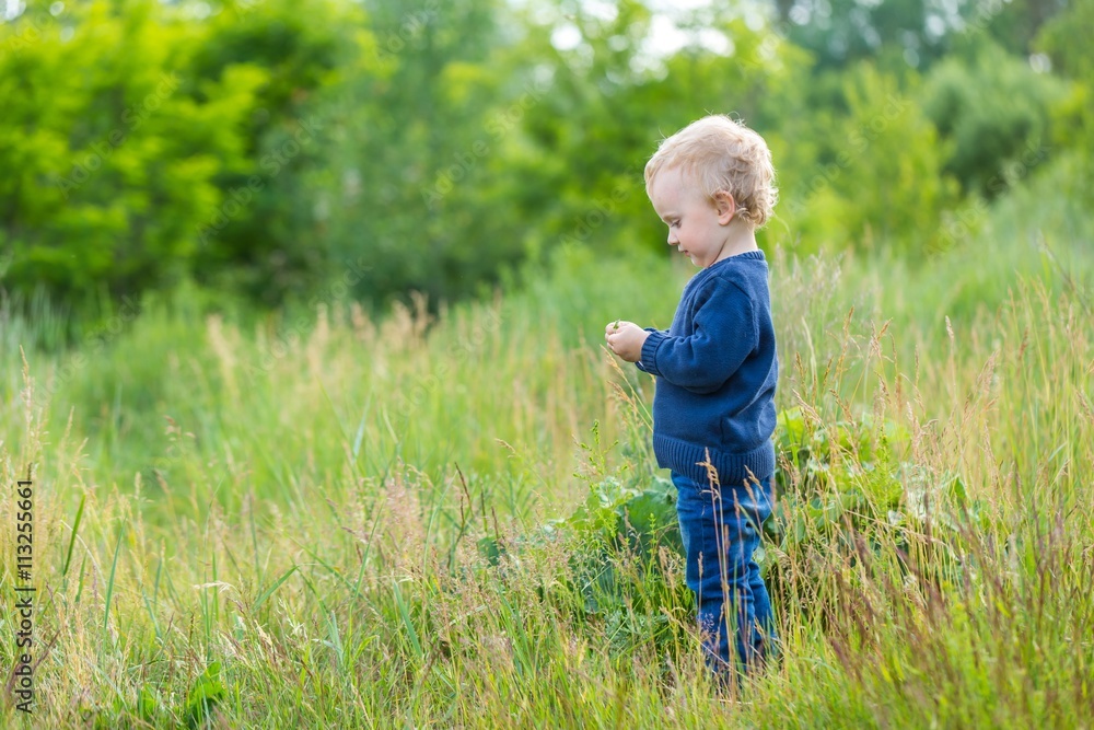 Small caucasian boy playing outdoor on meadow Small caucasian boy playing outdoor on meadow