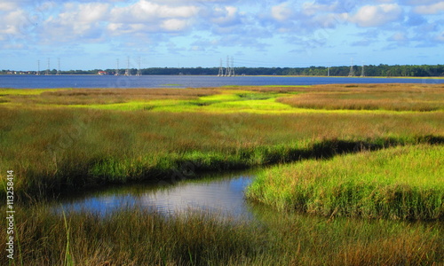 Mill Cove wetlands, Jacksonville photo