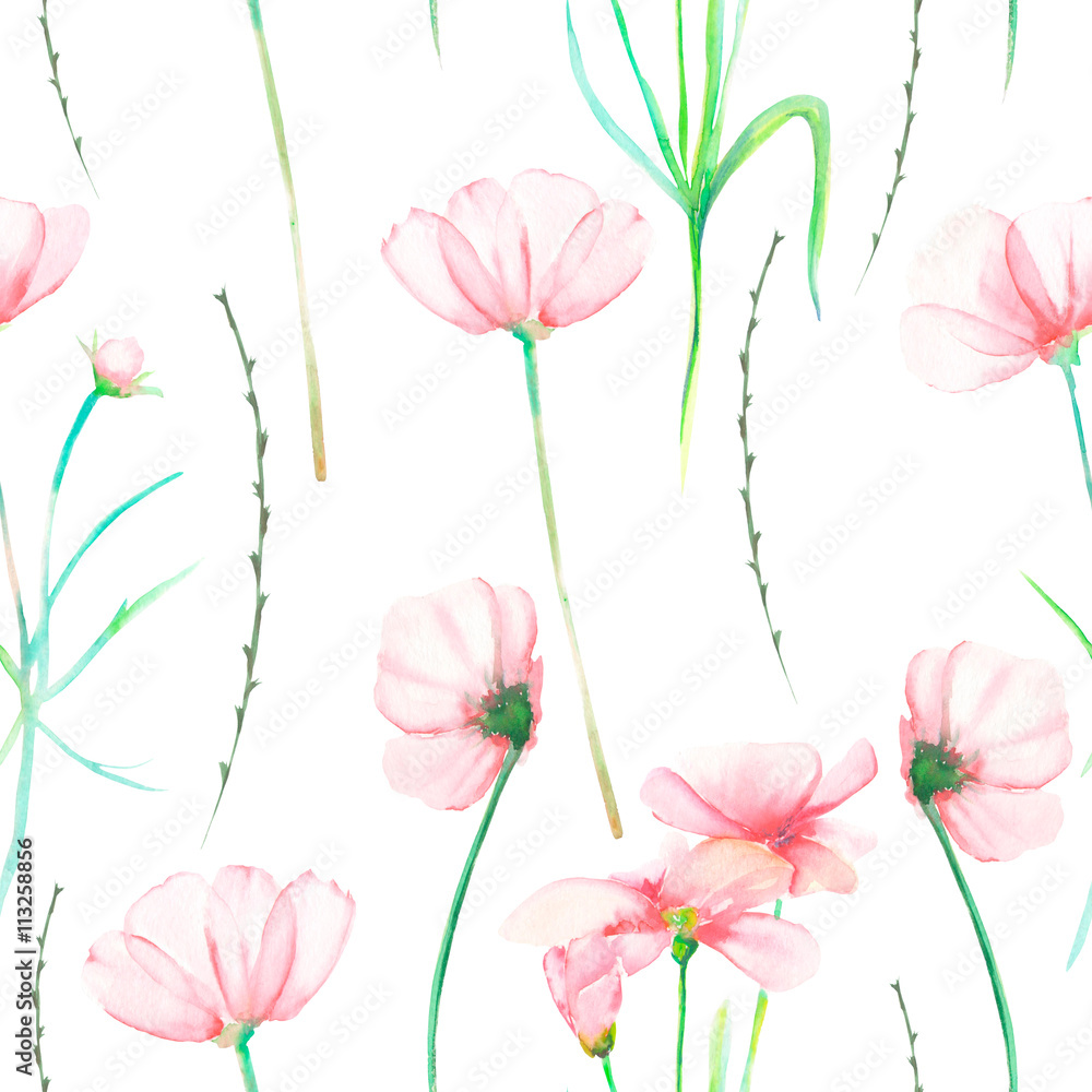 A seamless floral pattern with watercolor hand-drawn tender pink cosmos flowers, painted on a white background