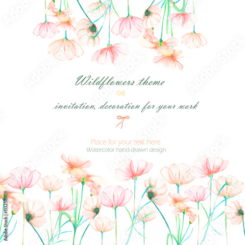 Background  invitation card  template postcard with the tender pink cosmos flowers  hand drawn on a white background  background for your card and work