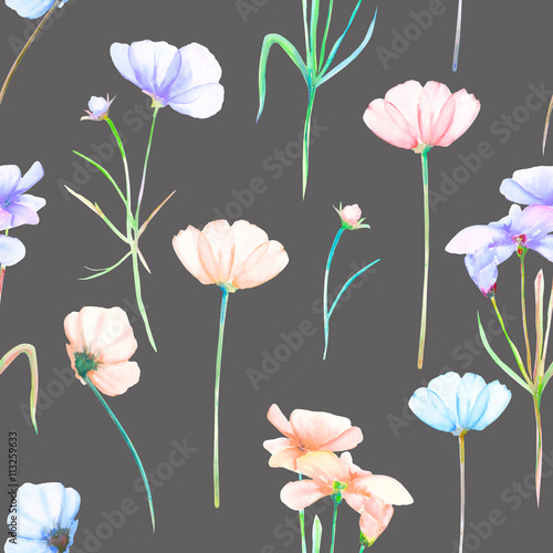 A seamless floral pattern with watercolor hand-drawn tender pink and purple cosmos flowers  painted on a dark background