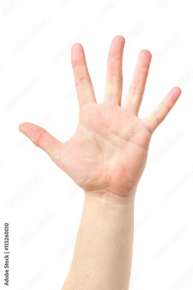 Man hand sign isolated on white background. Men's hand. Man hand sign isolated on white background. Men's hand.