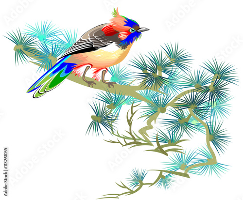 Illustration of fairyland little bird sitting on a branch of pine, vector cartoon image.