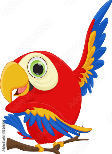 cute macaw bird cartoon waving