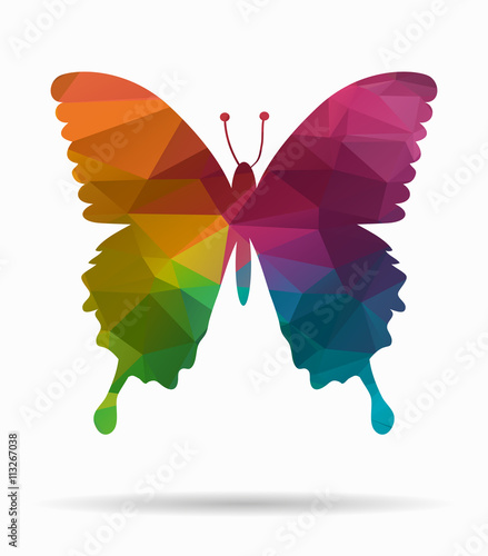 butterfly fly poly icon