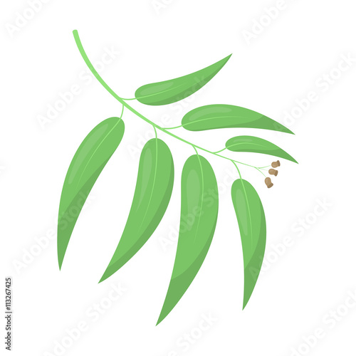 Eucalyptus vector icon in cartoon style for web
