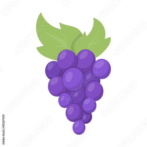 Grapes icon cartoon. Singe fruit icon from the food set. Fototapet