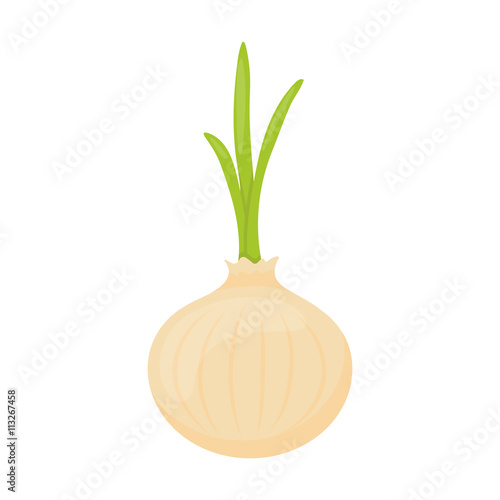 Onion icon cartoon. Singe vegetables icon from the eco food set.