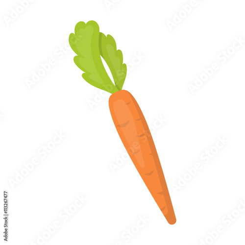 Carrot icon cartoon. Singe vegetables icon from the eco food set.