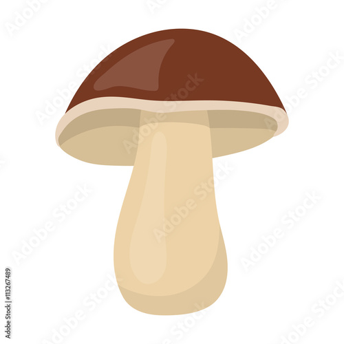 Mushroom icon cartoon. Singe vegetables icon from the eco food set.