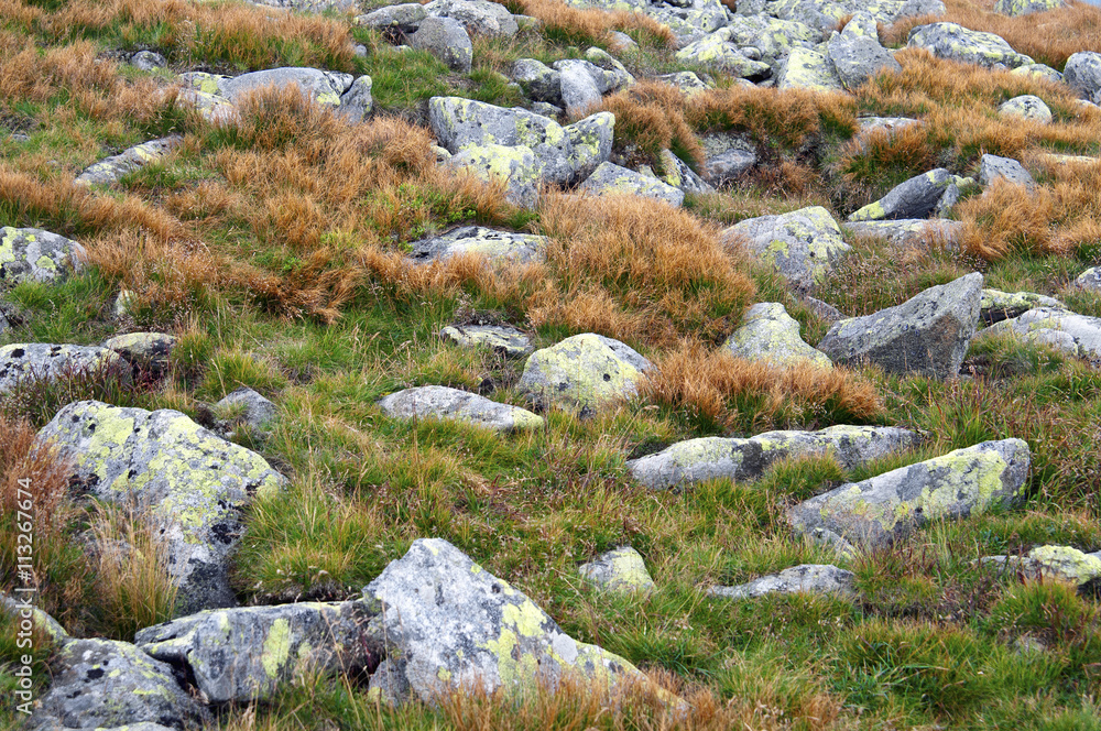 Small rocks and grass Small rocks and grass