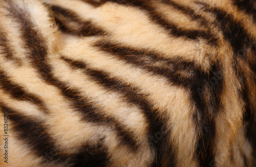 Fototapeta Naklejka Na Ścianę i Meble -  Tiger fur texture