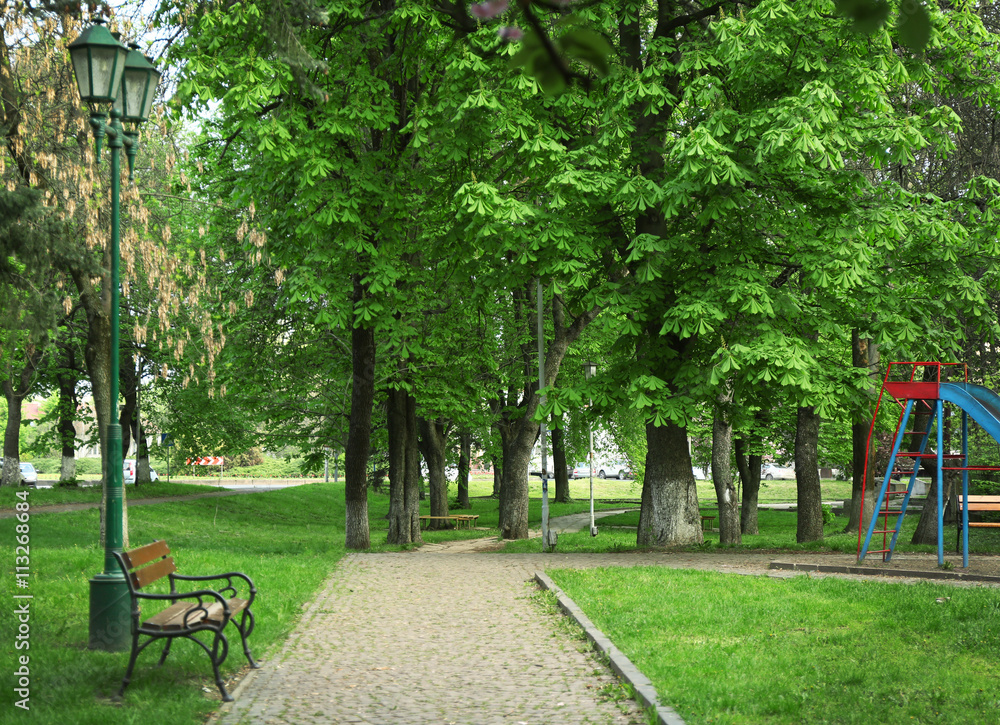 Paved road and bench in a green park Paved road and bench in a green park