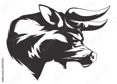 Vector illustration with bull head