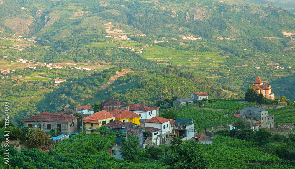 Vineyard hills in the river Douro valley, Portugal