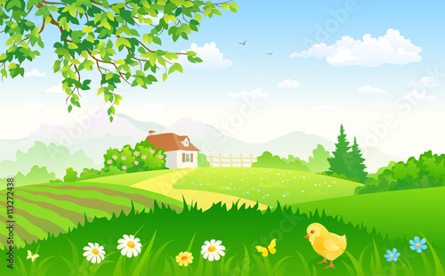 Summer rural garden
