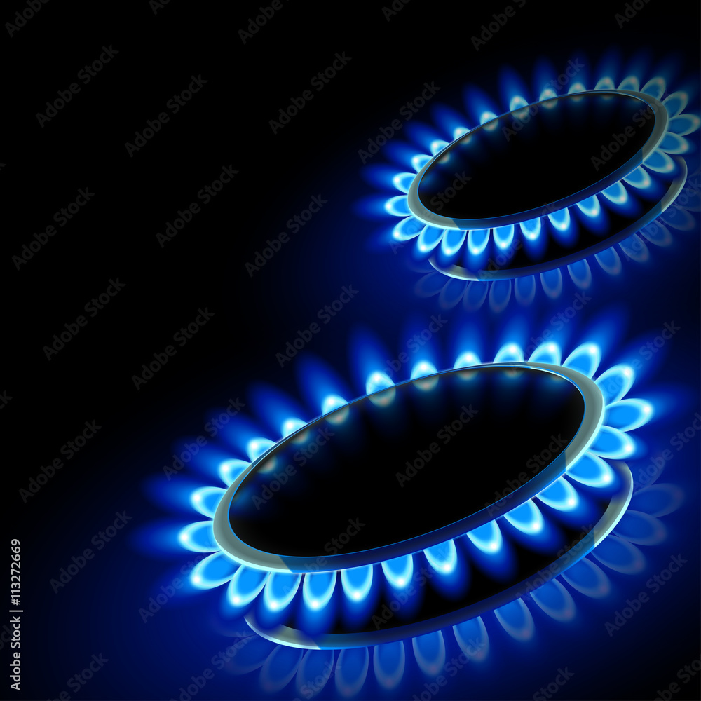 fire gas stove fire gas stove