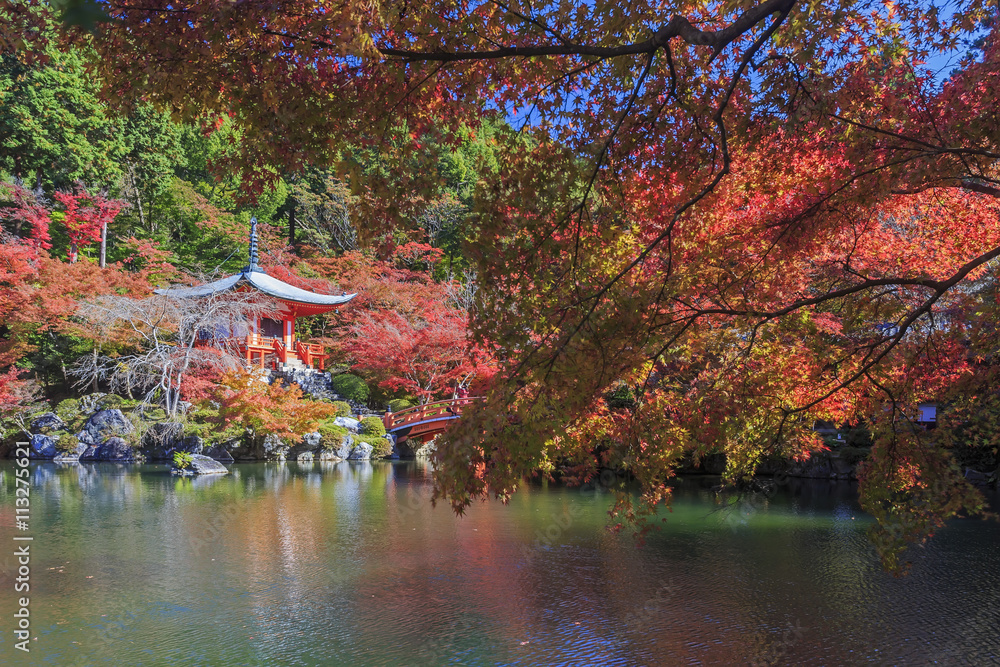 Naklejka premium Beautiful fall landscape around Kyoto