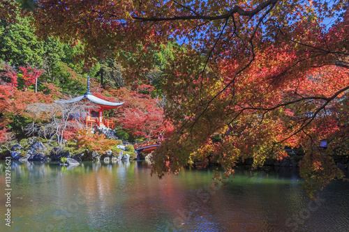 Beautiful fall landscape around Kyoto