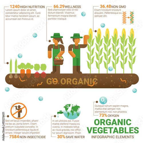 Organic Farm Infographic