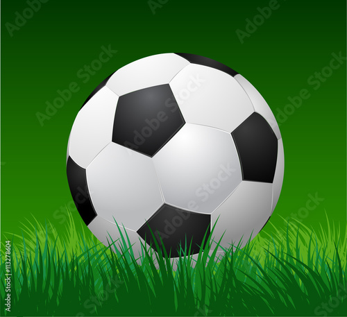 soccer ball on green grass.