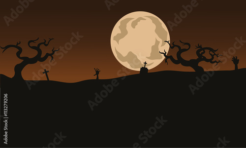 Fototapeta Naklejka Na Ścianę i Meble -  Halloween Scary backgrounds and full moon