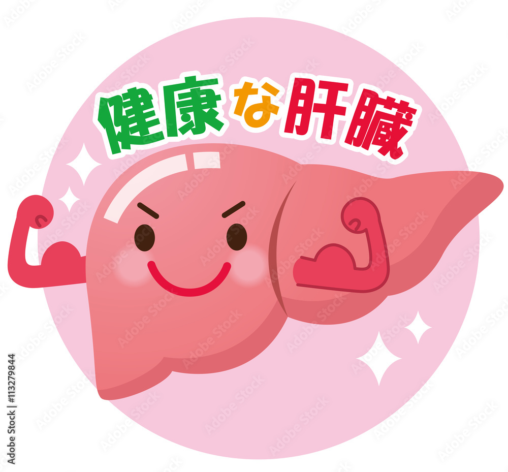 健康な肝臓 臓器 Stock イラスト Adobe Stock 健康な肝臓 臓器 Stock イラスト Adobe Stock