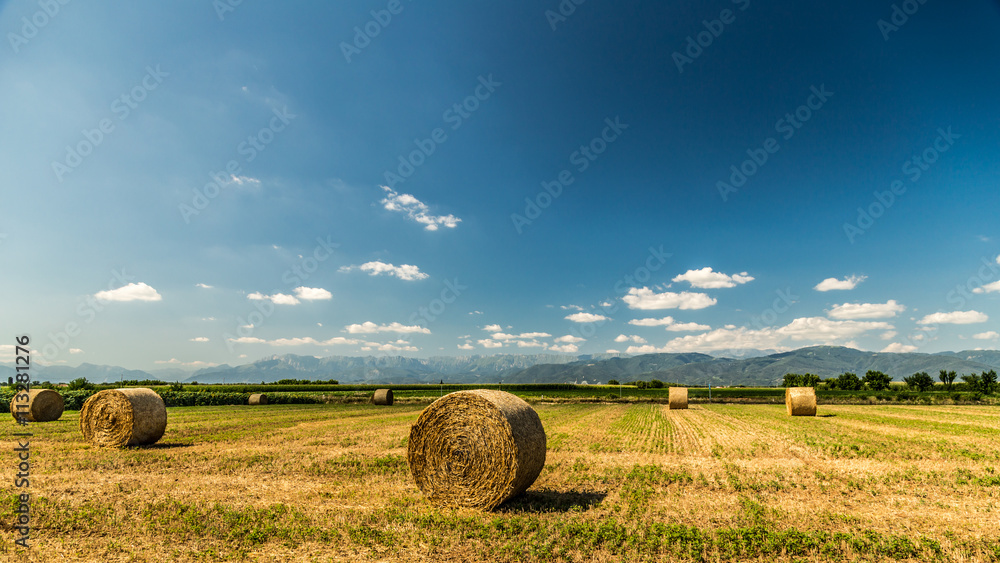 hay bale in the fields of italy