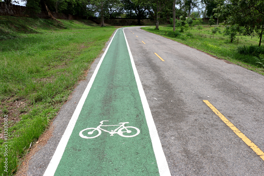 custom made wallpaper toronto digitalSeparate bicycle lane on asphalt in the park. White bike symbol