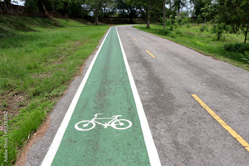 Wallpaper Mural Separate bicycle lane on asphalt in the park. White bike symbol Torontodigital.ca