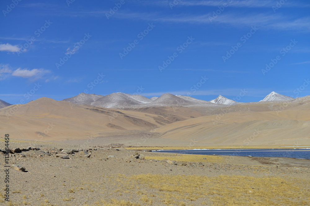 Fototapeta premium desert