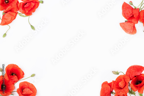 Fototapeta Naklejka Na Ścianę i Meble -  Heads of red poppies on white background