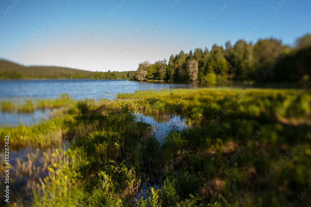 Finland Kuopio Landscape