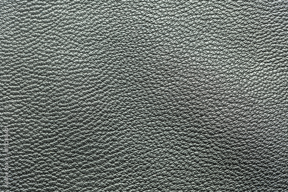 the skin texture the skin texture