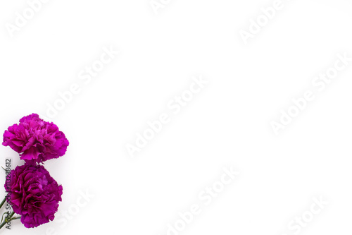 Fototapeta Naklejka Na Ścianę i Meble -  Purple gillyflowers on white background, flat lay