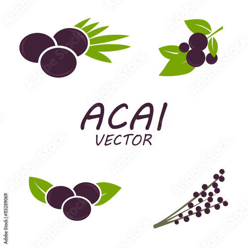 Vector Acai icons set