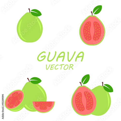 Vector flat Guava icons set