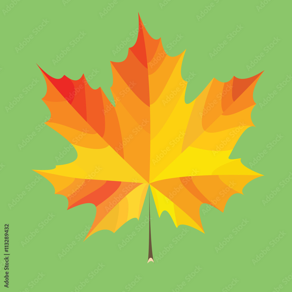 Maple leaves Maple leaves