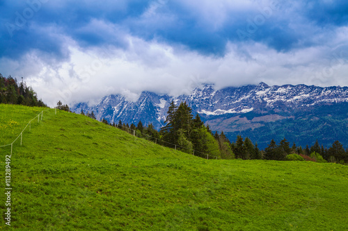 Beautiful green meadow with the Alps in the background. © gkrphoto