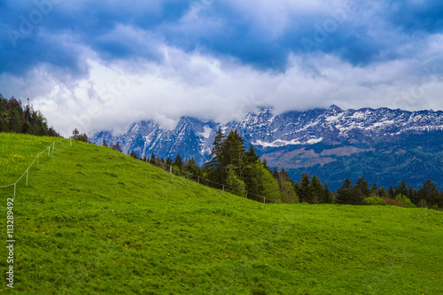 Beautiful green meadow with the Alps in the background.