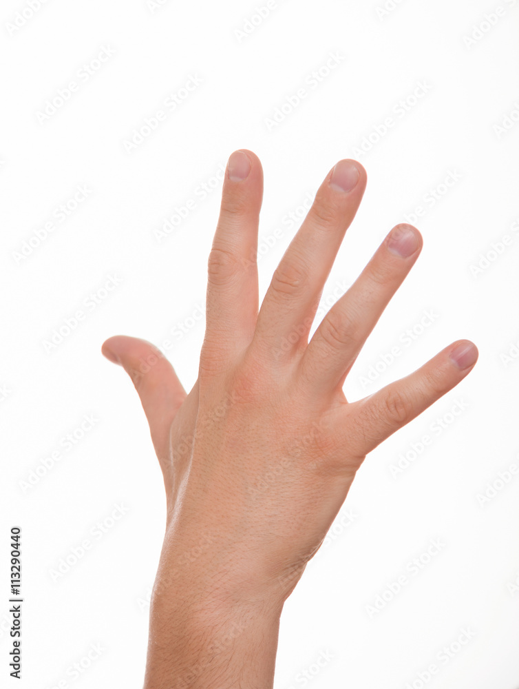 Male hand Male hand